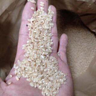 山形県産 日本一美味しい米にひとめぼれ