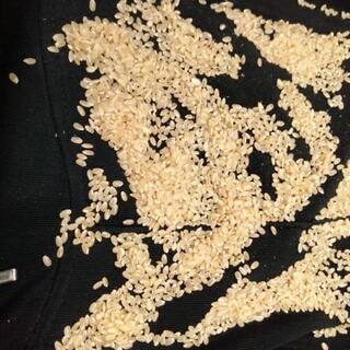 山形県産 日本一美味しい米にひとめぼれ