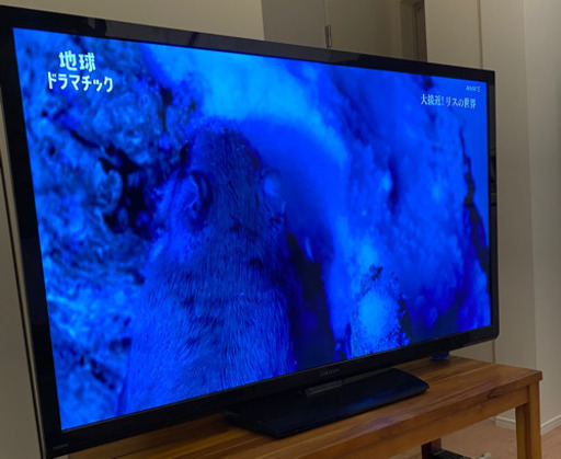 ORION DN503-2B1 オリオン　液晶テレビ　50V型