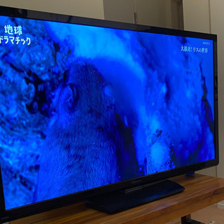 ORION DN503-2B1 オリオン 液晶テレビ 50V型 | studioobjeto.com