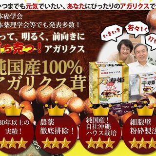ヒメマツタケ アガリクス 多糖体 顆粒 万寿姫 3g×30包 サプリメント
