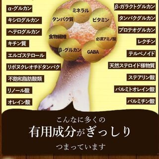 ヒメマツタケ アガリクス 多糖体 顆粒 万寿姫 3g×30包 サプリメント 健康元気 免疫力向上　l2ojm ヒメマツタケ アガリクス 多糖体 顆粒 万寿姫 3g×30包 サプリメント