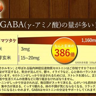 ヒメマツタケ アガリクス 多糖体 顆粒 万寿姫 3g×30包 サプリメント