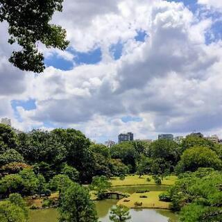 朝活　都内の名園　六義園　ご一緒にお散歩しませんか。 - イベント