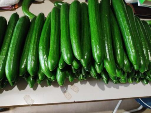 新鮮野菜 販売中 In セブンイレブン南八木店 たーじ 大和八木のその他のイベント参加者募集 無料掲載の掲示板 ジモティー 新鮮野菜 販売中 In セブンイレブン南八木店 たーじ 大和八木のその他のイベント参加者募集 無料掲載の掲示板 ジモティー