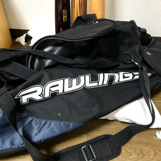 緊急放出。新品バット&キャリーケース。