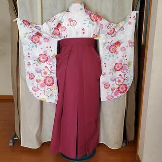 卒業式　袴セットN