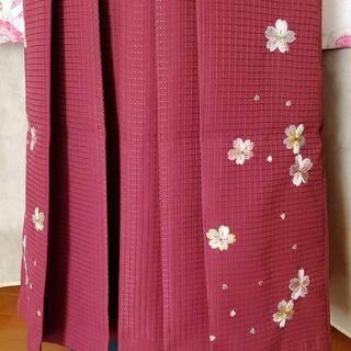 卒業式　袴セットN