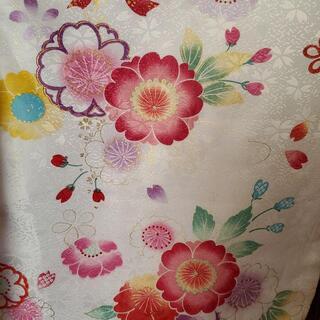 卒業式　袴セットN