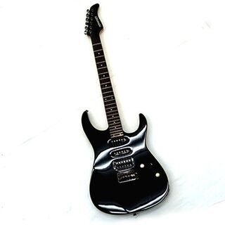 フェルナンデス FR-40 ブラック 調整済み テクニカル SSH 24F ヘヴィ 入門 ロック FR-40(0220352788) フェルナンデス FR-40 ブラック 調整済み テクニカル SSH 24F ヘヴィ