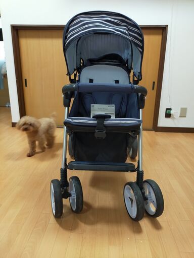 2人用ベビーカー（美品）