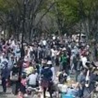 小金井公園　フリーマーケット　11月1(日)