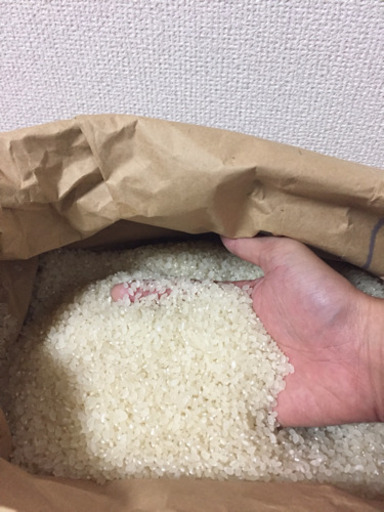 新米 R4コシヒカリ  精米 30キロ