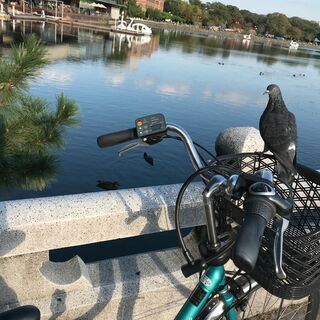 電動アシスト自転車PanasonicBE-ELE63G ＋すぐ切れそうなバッテリー