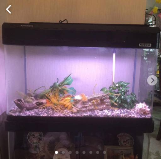 ニッソー　大型水槽