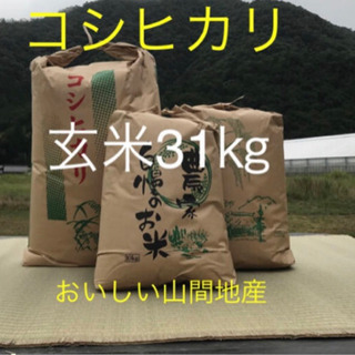 令和元年産　コシヒカリ100%  玄米31キロ 低農薬　残り2袋