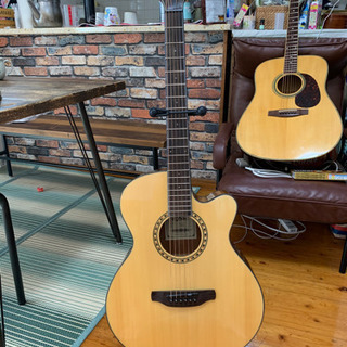 弦楽器、ギター Aria ギター TG-1N美品です。
