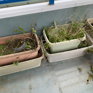 ガーデニング植木 植木鉢全部差し上げます ろば 用宗のその他の中古あげます 譲ります ジモティーで不用品の処分