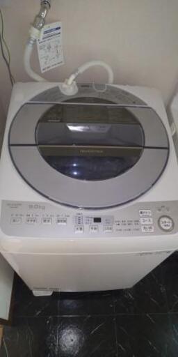 シャープ 洗濯機 8kg 2020年製造 美品