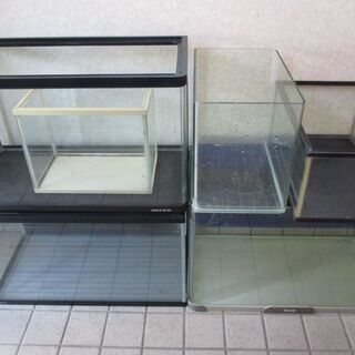 商談中　●　水槽　６個セット　アクリル製　ガラス製