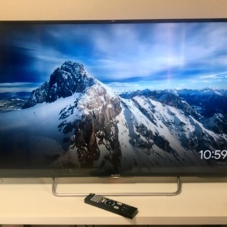 SONY 48V型テレビ＆ハードディスク２TB