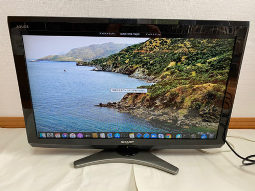 WEB限定カラー E AQUOS SHARP E8 32インチ テレビ LC-32E8-B その他