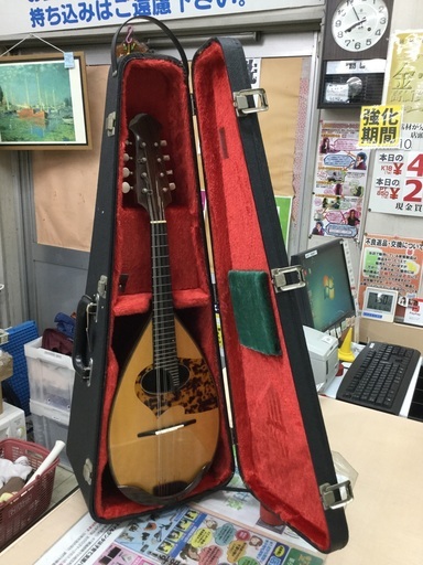 【店頭お渡し】マンドリン　石川捷二郎　No.120 1984年　ハードケース付き