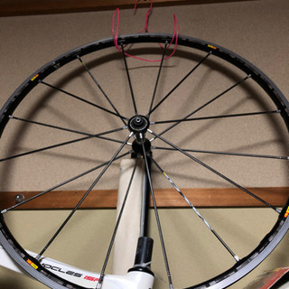mavic r-sys premium 軽量 ロード用ホイール 交換用ベアリング付き