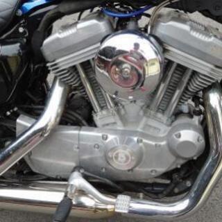 2007年 ハーレースポーツスター XL883 車検令和4年5月まで