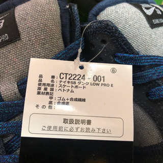 【NIKE SB DUNK LOW PRO E】（CT2224-001）