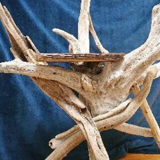 流木オブジェテーブル『LEGEND』 流木オブジェテーブル『LEGEND』