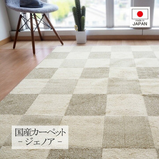 【新年初売りSALE】国産 カーペット ラグマット/絨毯 190...