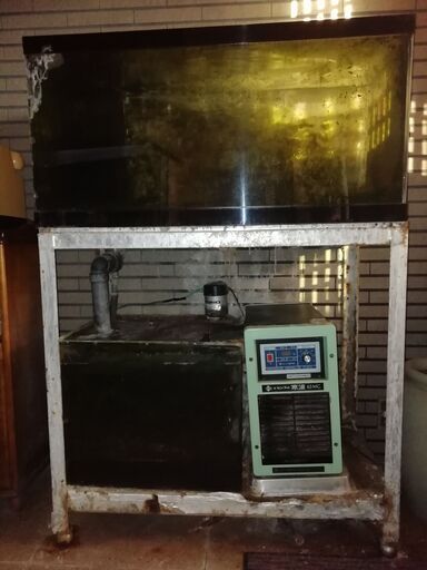 海水活け魚用水槽