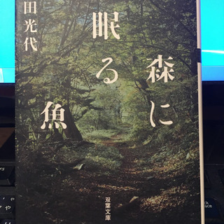 【引き取り先決定】森に眠る魚