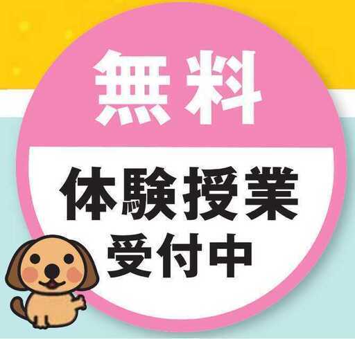都立高校のための大学受験コース 三鷹駅のecc個別塾 三鷹の塾の生徒募集 教室 スクールの広告掲示板 ジモティー 都立高校のための大学受験コース 三鷹駅のecc個別塾 三鷹の塾の生徒募集 教室 スクールの広告掲示板 ジモティー