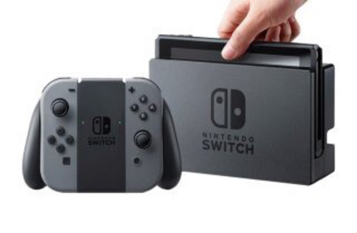 その他 Nintendo Switch New gray