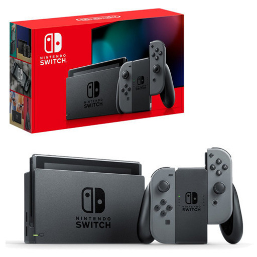 その他 Nintendo Switch New gray