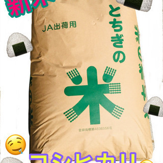 栃木県の玄米の中古が安い！激安で譲ります・無料であげます｜ジモティー