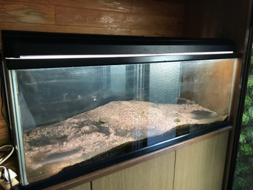 120センチ水槽　決まりました