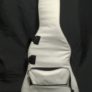 LINE6 James Tyler Variax JTV-69 