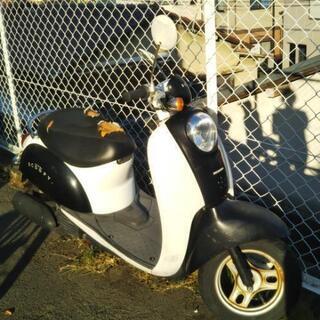 HONDA SCOOPY 動かない 引き取り限定