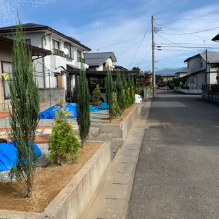 山辺町の人必見！ - 剪定/造園