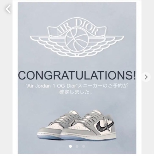 エアディオール　air dior low 25cm