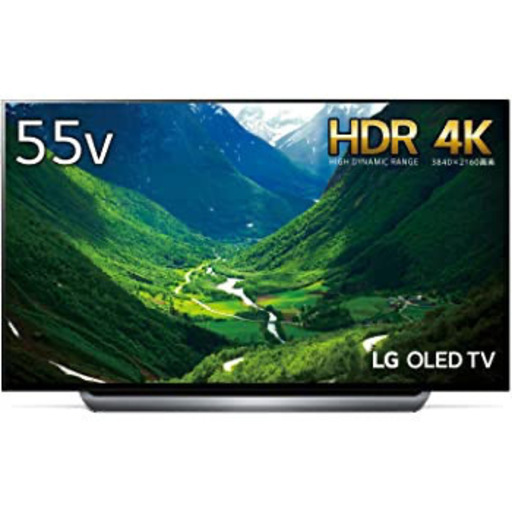 有機ELテレビ 55型 OLED55E8P 【公式通販】