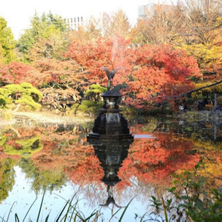 日比谷公園で一緒に散歩しませんか?(  日中1~2時間くらいを想定してます) - 友達