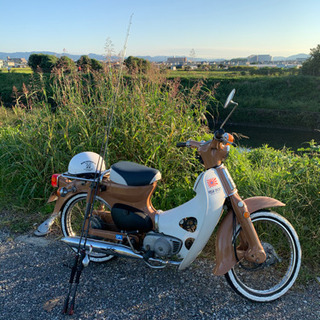 スーパーカブ かもめカブ 行灯カブ c50 旧車