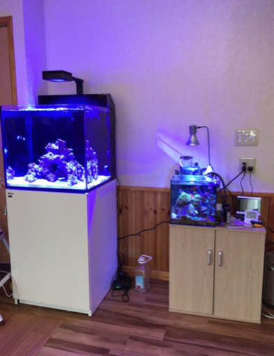 Redsea MAX-E170 セット