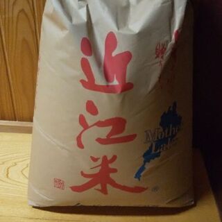 【ネット決済】地産地消滋賀の米処からキヌヒカリ玄米３０キロ販売