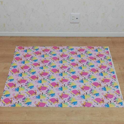 輸入生地 ディズニープリンセスレア貴重シンデレラ ラプンツェル ベル ティアナ オーロラ姫 白雪姫ハンドメイド入園 入学グッズ大日付近での れーちゃん 大日のキッズ用品 その他 の中古あげます 譲ります ジモティーで不用品の処分