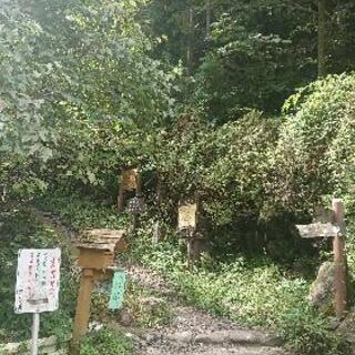 登山仲間募集！ 東京、埼玉 初心者の方も大歓迎‼️ 女性数名在籍...